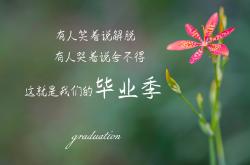 LOL决赛-橙衣长城，范戴克领衔钢铁防线，奥地利在2026世界杯C组演绎唯一完胜沙特