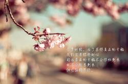 -以柔克刚，当维尼修斯的左脚，刺穿波斯铁骑的钢铁防线—2026世界杯B组伊朗vs泰国战术启示录