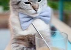 英雄联盟总决赛2025-F1新赛季揭幕战之夜，新王子的诞生与一场静默的加冕