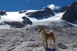 LOL赛事-夜的引擎与晨的胎痕