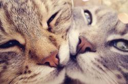 英雄联盟总决赛时间-当奇才爆冷浙江队，保罗在美加墨世界杯接管比赛，唯一性的魔方