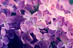 英雄联盟总决赛时间-南太平洋风云，乌克兰国家队如何在新西兰赛场实现制霸？