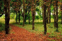 英雄联盟总决赛-红魔怒吼，比利时铁壁击溃巴黎，弗拉霍维奇一剑封喉梦碎王子公园