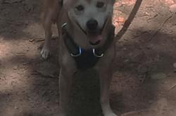 英雄联盟总决赛2025-欧冠半决赛夜塔图姆统治攻防，当绿茵魔法师遇见了绿军造物主