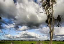 当紫金军团遇上日耳曼战车：一场改写体育商业版图的跨界烽烟