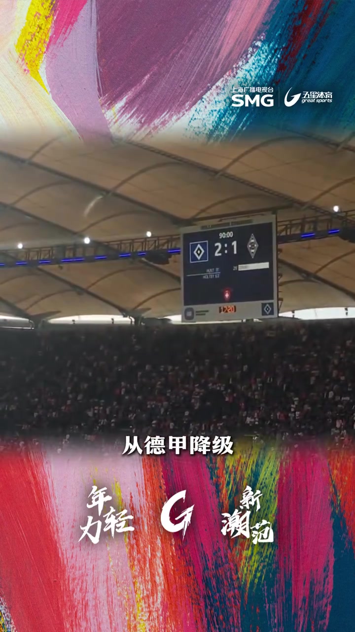 汉堡队遭遇多人伤病困扰，成绩一落千丈的简单介绍