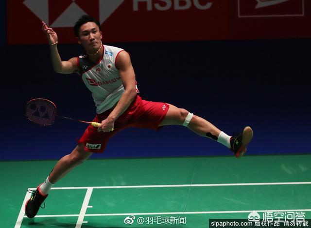 日本队横扫德国队，桃田贤斗状态火热