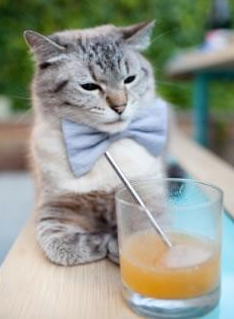 F1新赛季揭幕战之夜，新王子的诞生与一场静默的加冕