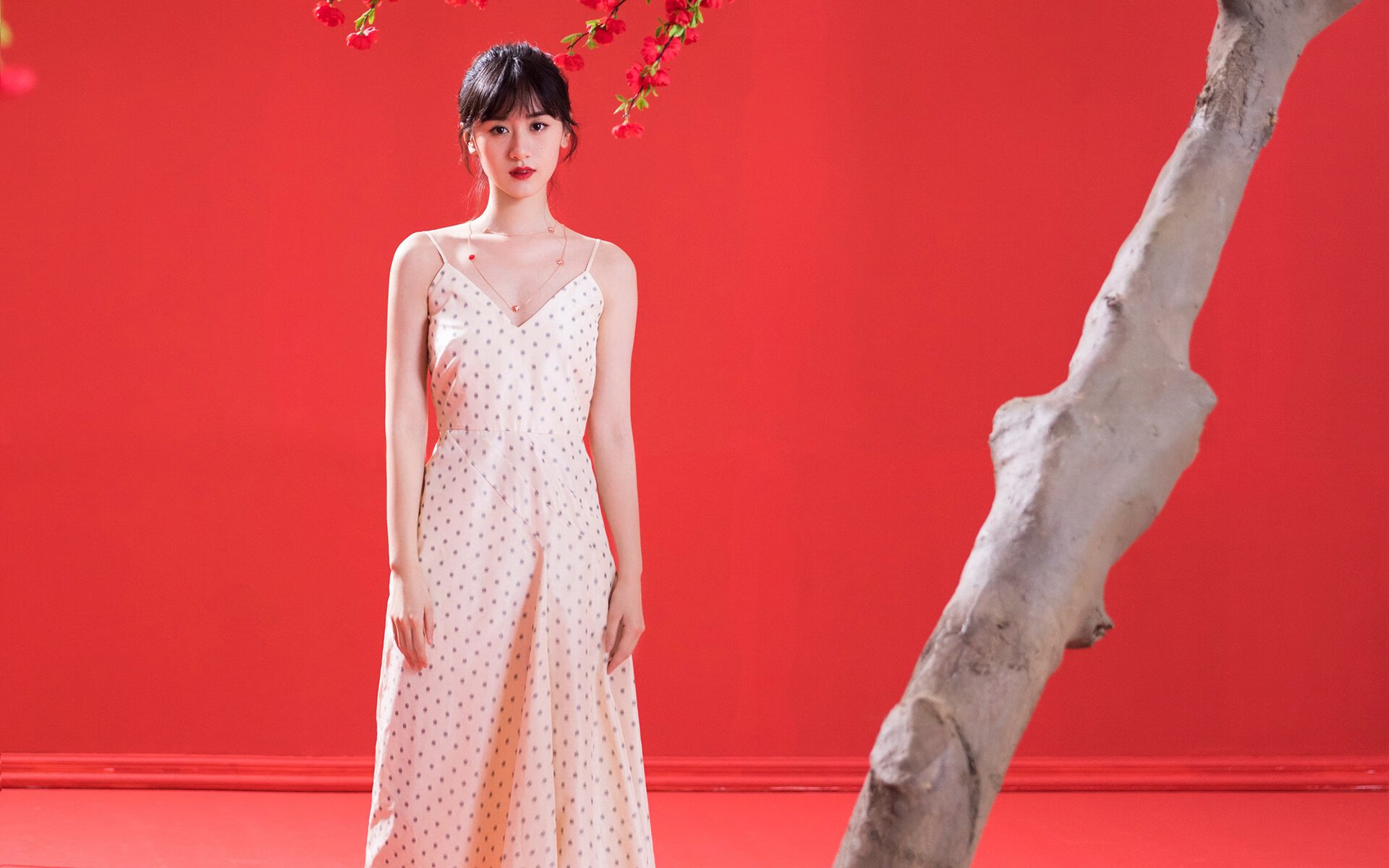 当辽宁铁血遇见马刺智慧,美加墨世界杯的跨界战术启示