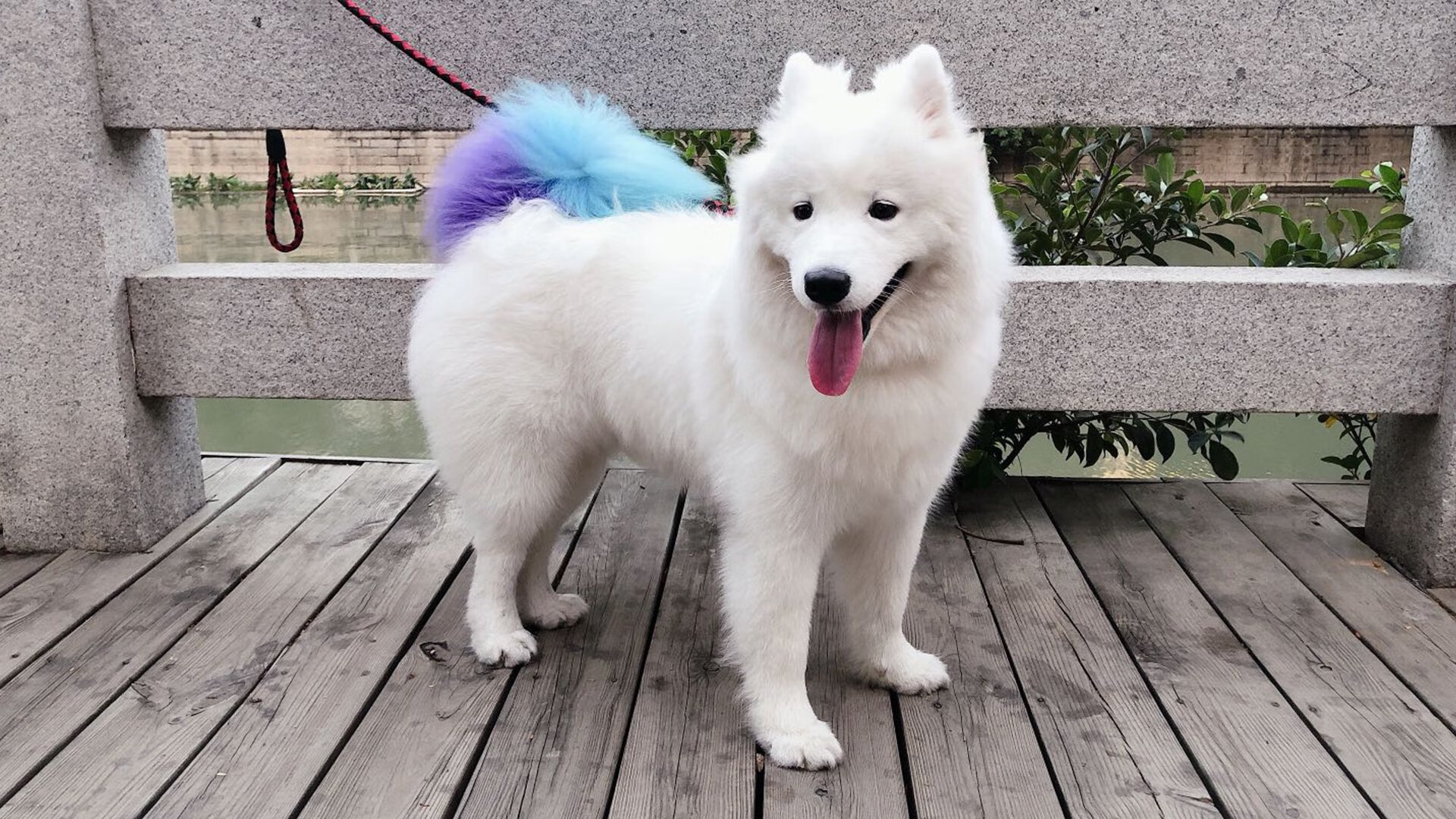 中场巫师，当隐形之手扼住巨星咽喉，凯塞多如何将姆巴佩的巴黎推入沉默牢笼？