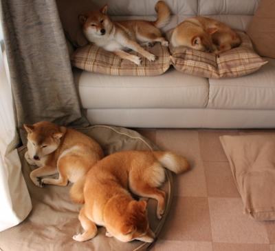 虚拟世界杯地球德比，突尼斯铁链封锁委内瑞拉，卡塞米罗一锤定音