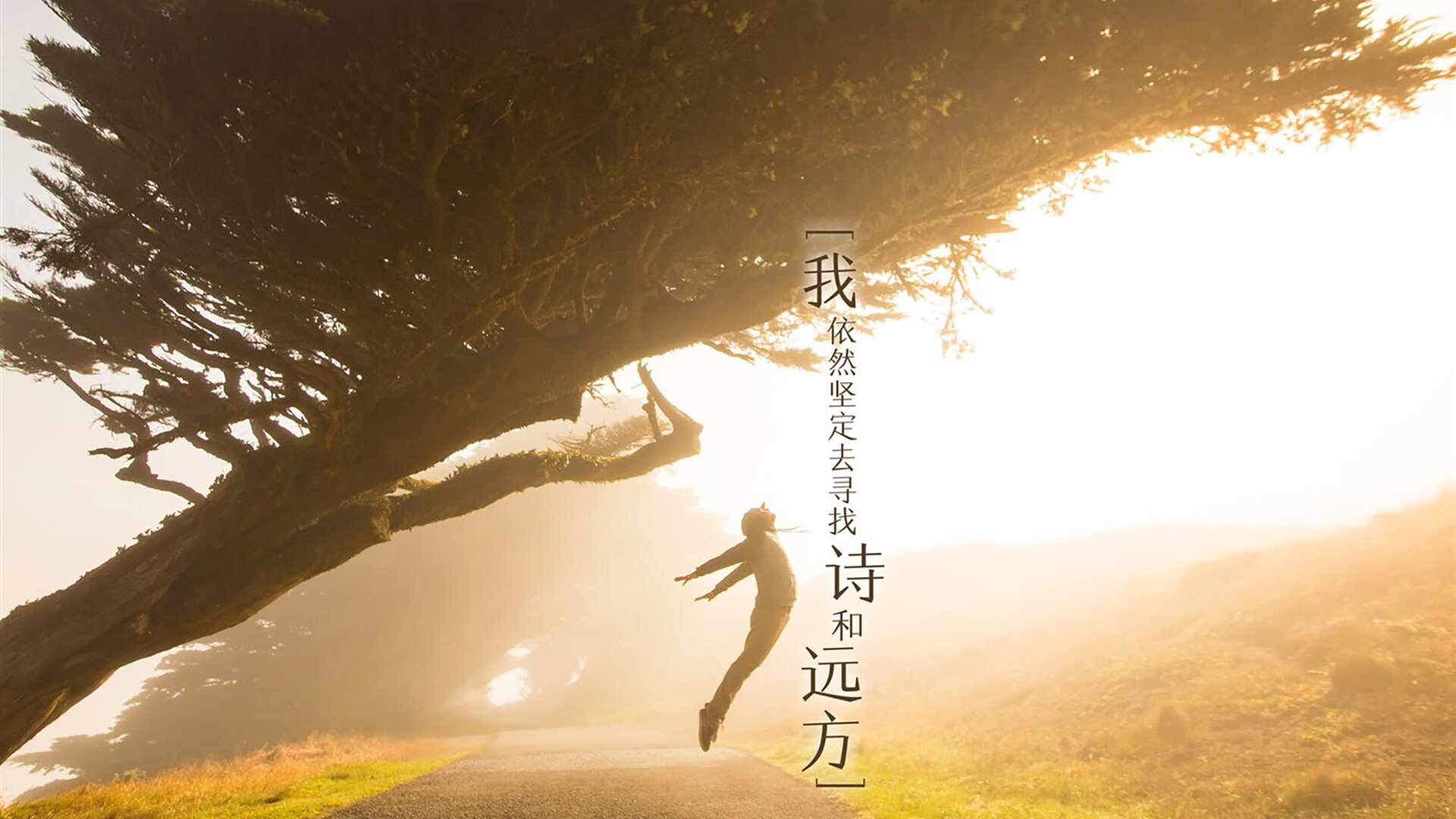 绿茵场的唯一性密码，当赖斯摧毁防线，突尼斯冷箭穿心