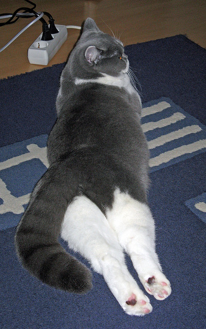 西甲国家德比之夜，小贾伦的巨星诞生记，舞台越大越强