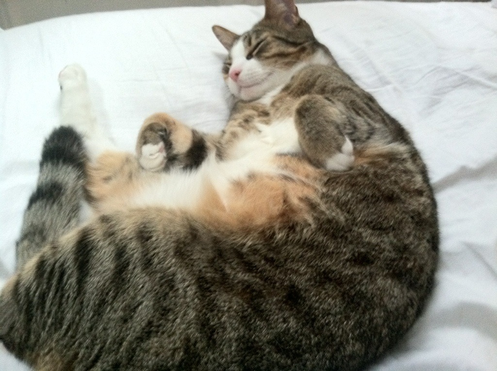 当山西队遇上F1，强强对话背后的唯一性原理