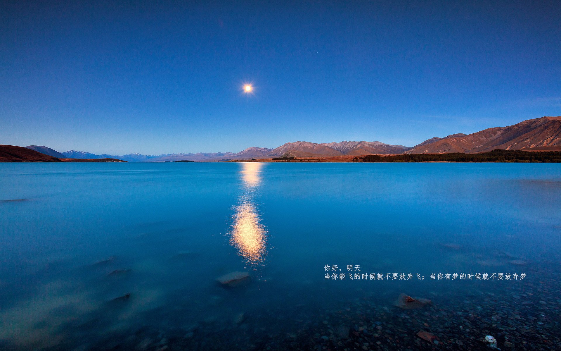 铜墙与硬骨，当文班亚马筑起禁飞区，开拓者啃下最坚韧一胜