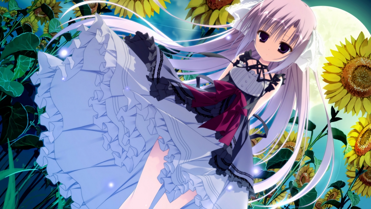 绿茵三重奏，当桑巴节奏遭遇蓝色理性与热带韧性的交响