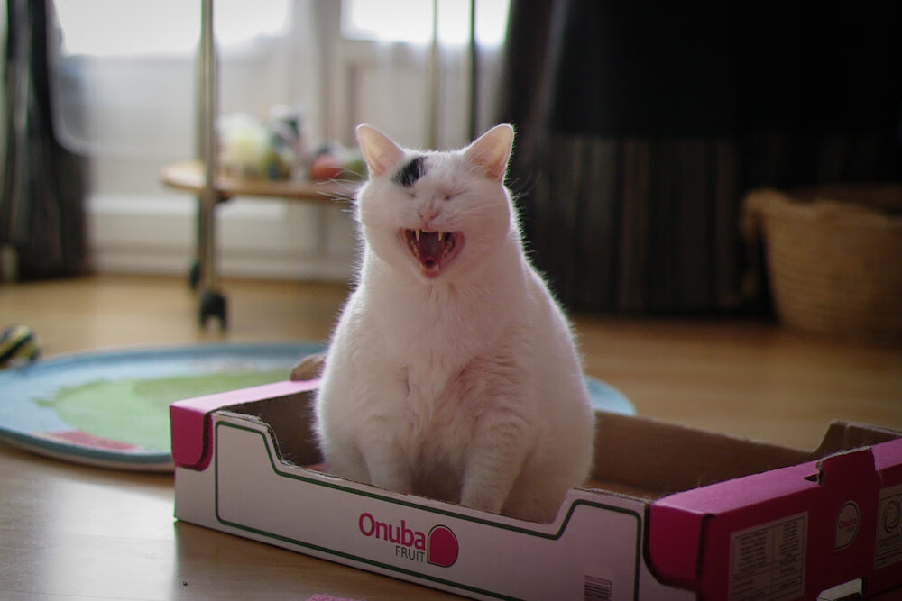 冰冷的马刺为何屈服于天才手腕？哈登这一夜，刺穿了篮球最坚固的体系