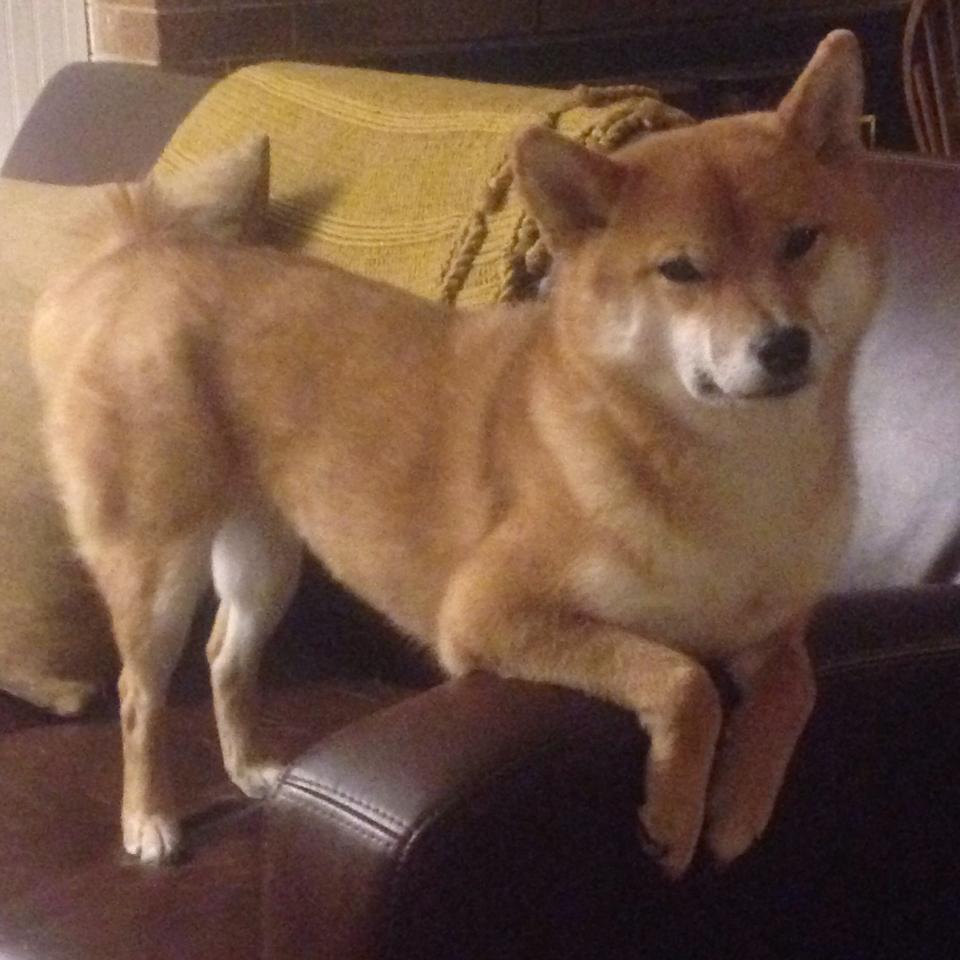 速度与弧线的双重奏，当F1揭幕夜杜兰特在另一个赛场投出完美抛物线