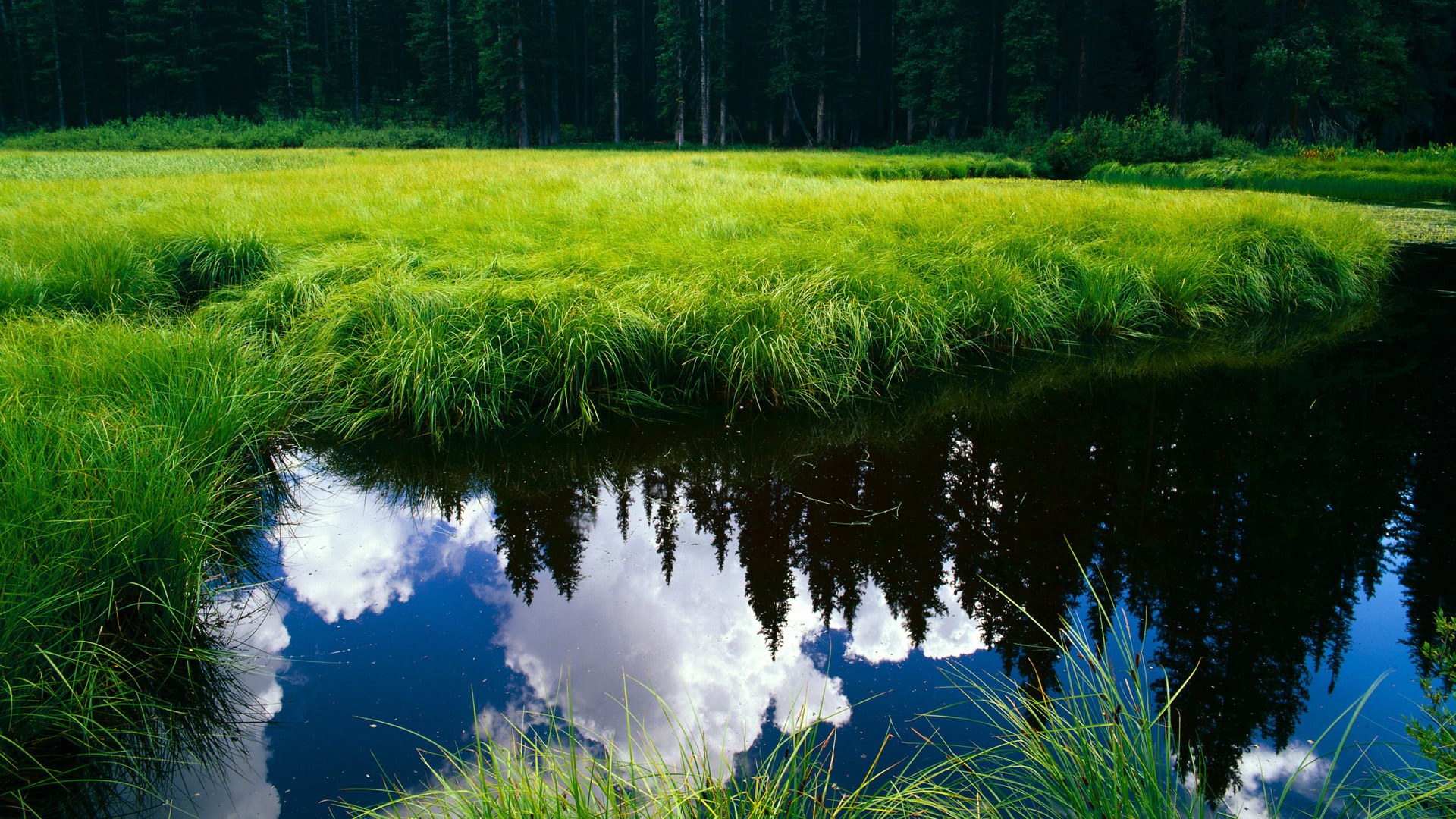跨越重洋的篮球对话,76人完胜新疆队,恩比德成为关键先生