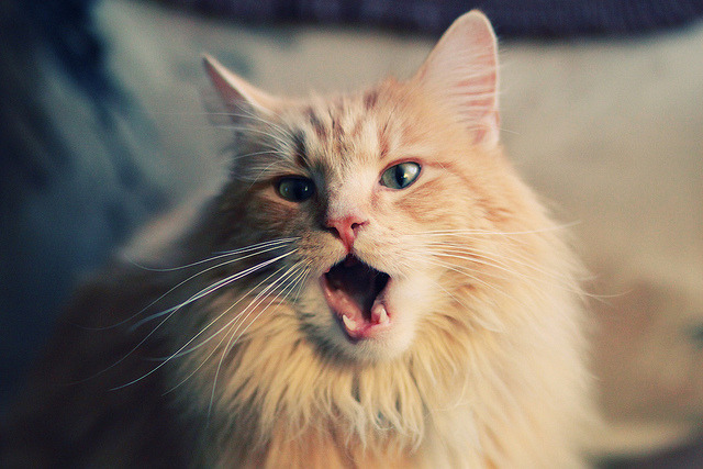 铁血团队碾压巨无霸,孤胆英雄终结悬念,足球世界两极的终极答案