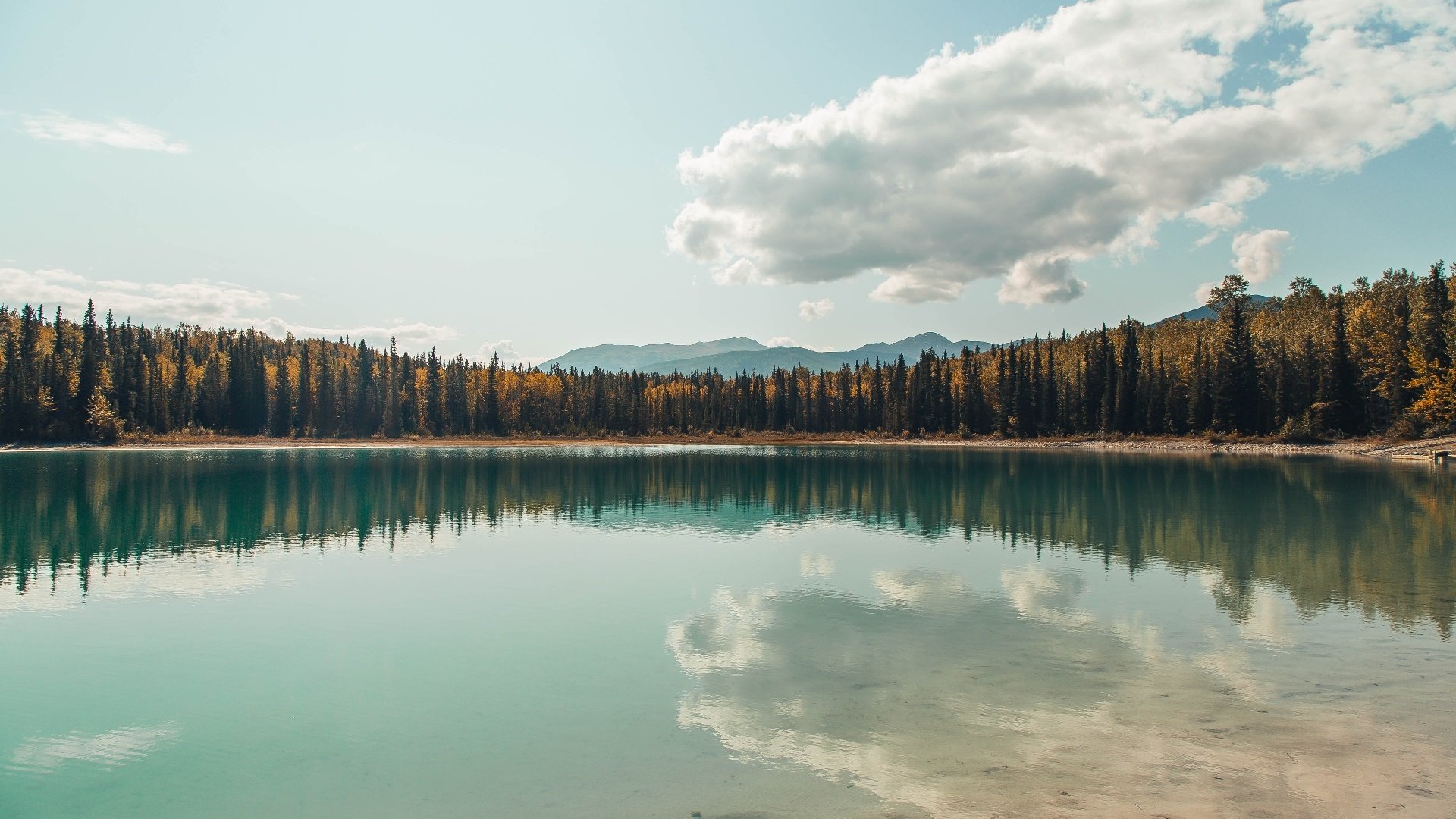 赛道与球场的双城记，当极速狂飙遇见篮球华尔兹