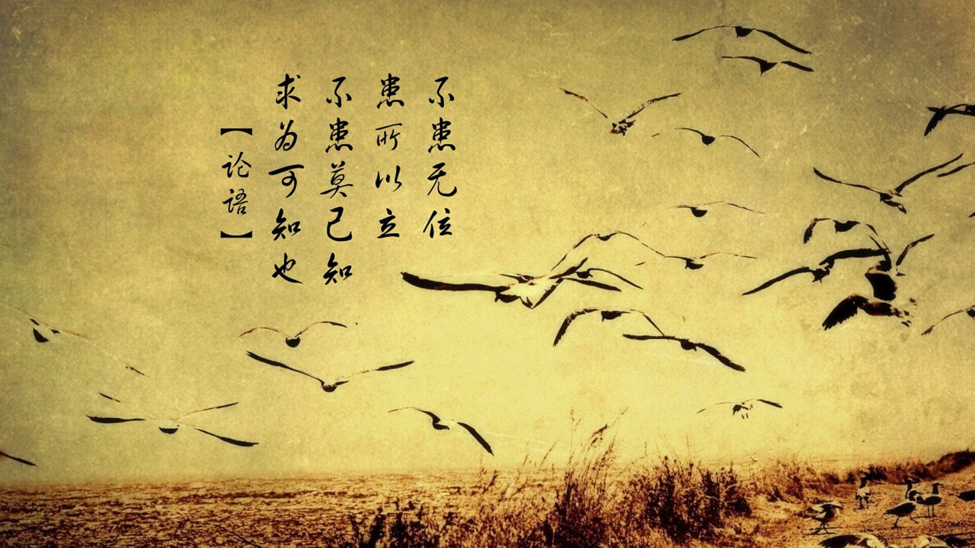 唯一性,当C罗锁死F1赛车的那个夜晚,所有规则都被改写了