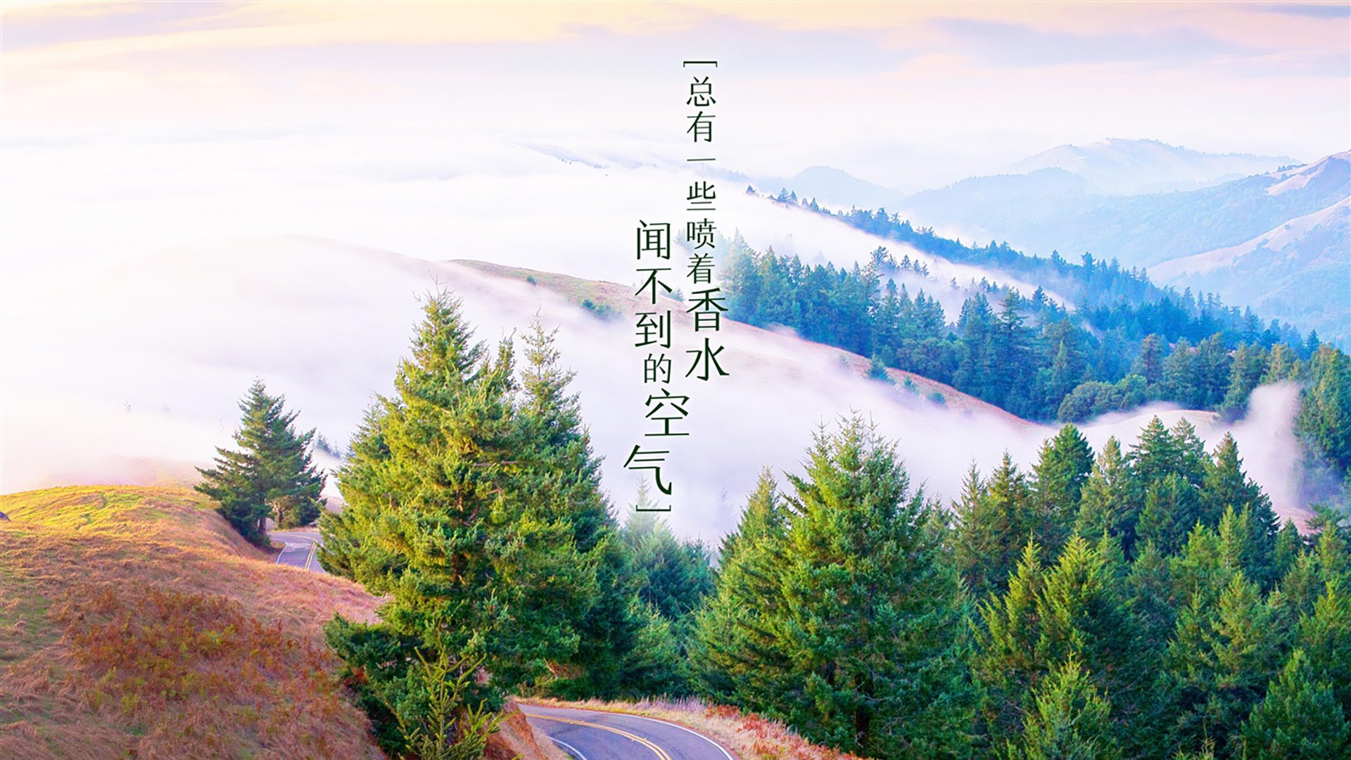 北欧冰锋，2026世界杯复仇之战，瑞典铁血防线与费利克斯的致命一击