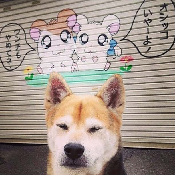 绝杀之夜,当太极虎咬碎匈牙利,努涅斯的光芒照亮2026世界杯H组生死战