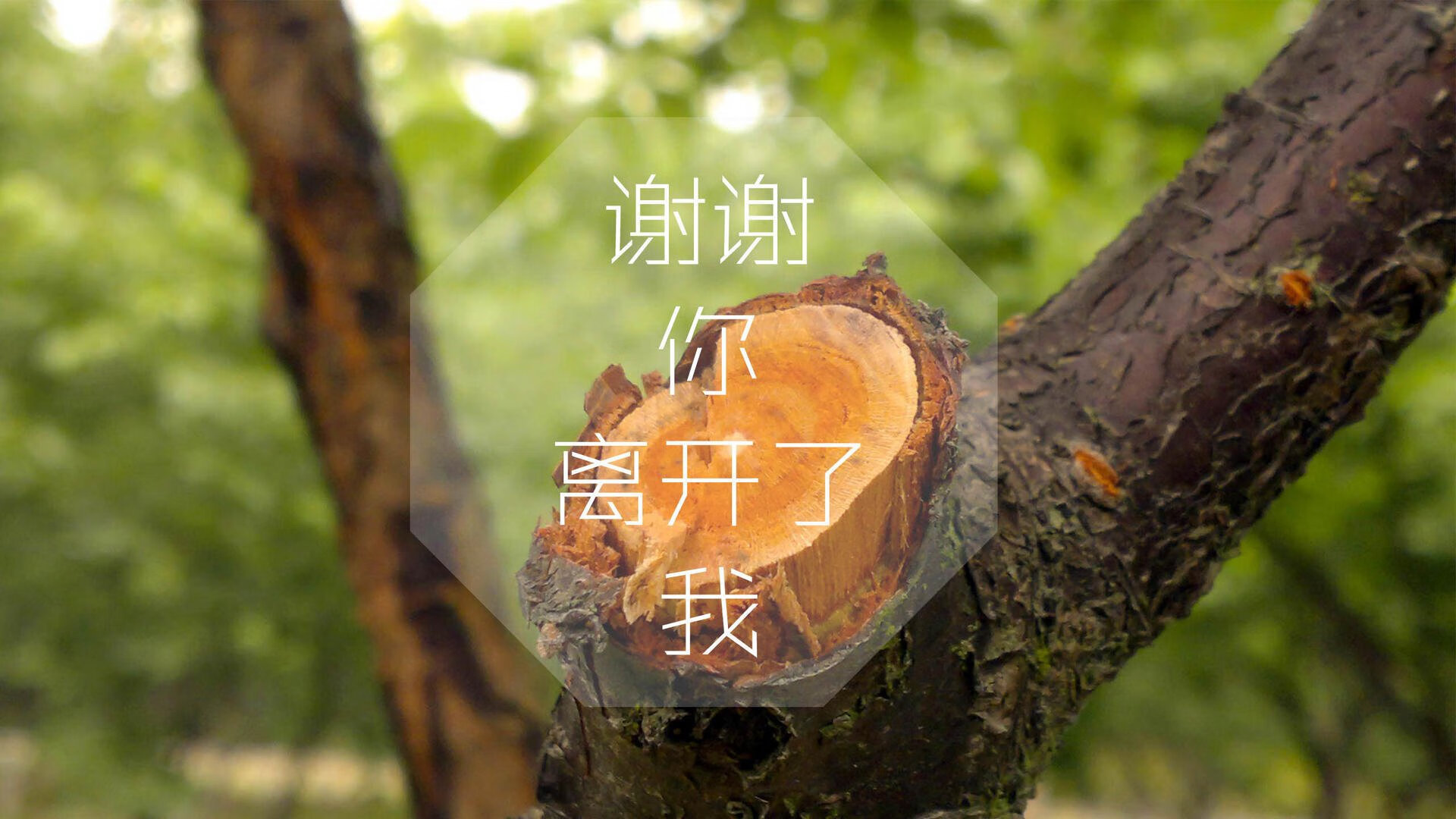 宿命对决的另一种注解，格列兹曼的指挥棒下，葡萄牙如何用一场完胜定义H组唯一剧本