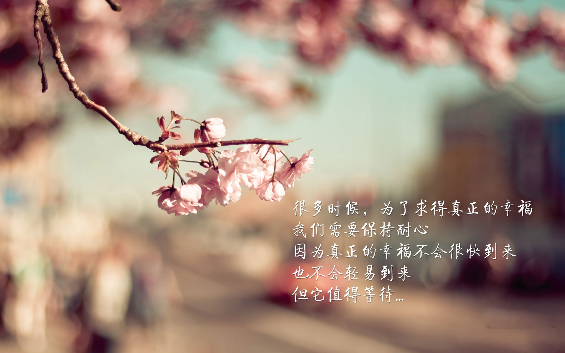 以柔克刚,当维尼修斯的左脚,刺穿波斯铁骑的钢铁防线—2026世界杯B组伊朗vs泰国战术启示录